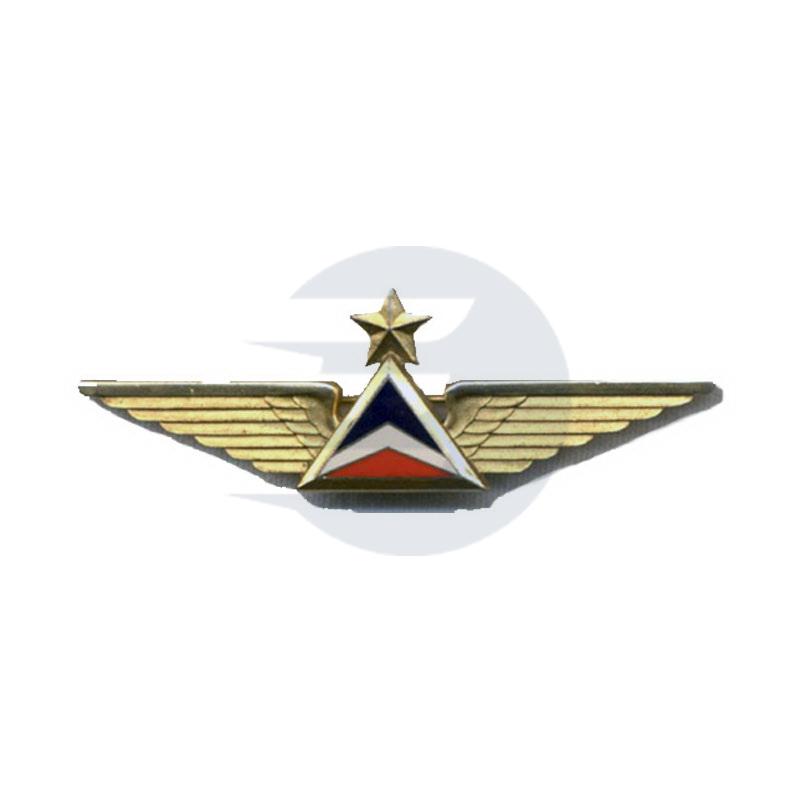 Metal Wings Badges